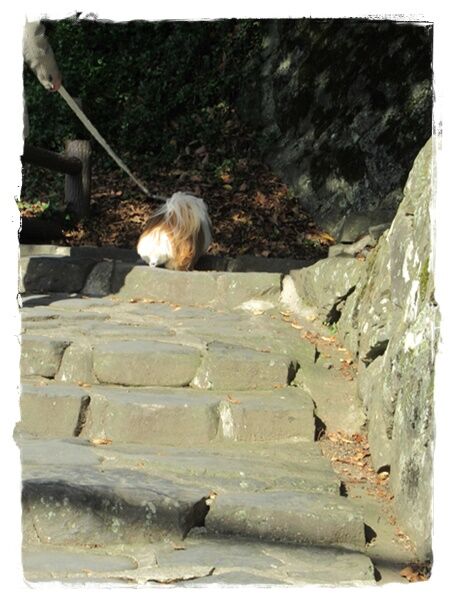 誕生日旅行パート３。