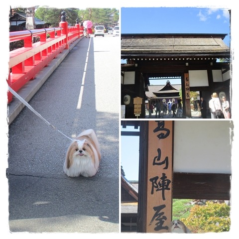 cats高山陣屋