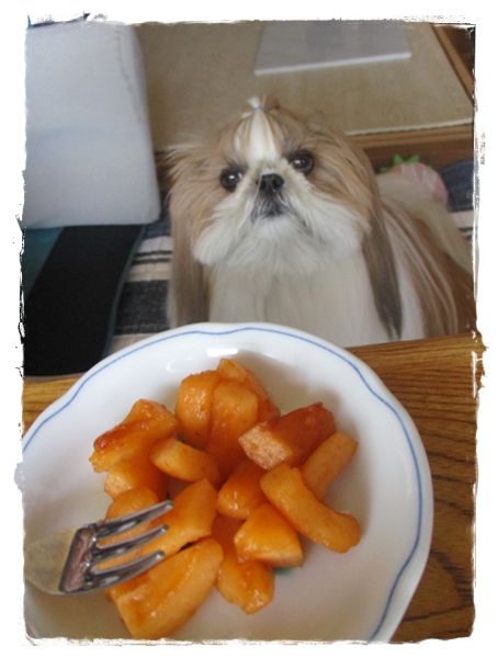 生れて初めてのビワ♪