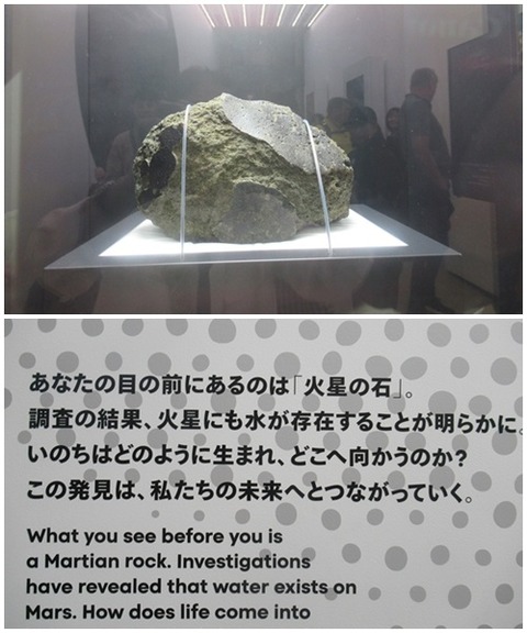 catsパビリオン９