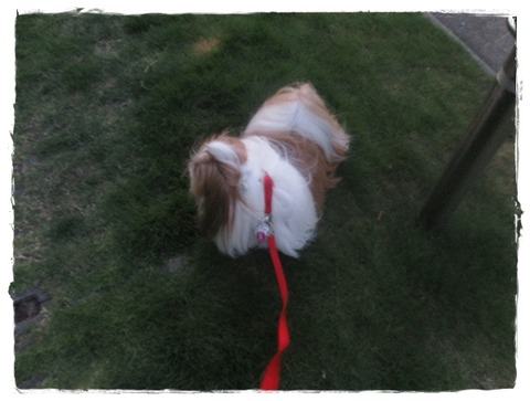 土日は決まってコンビニに。