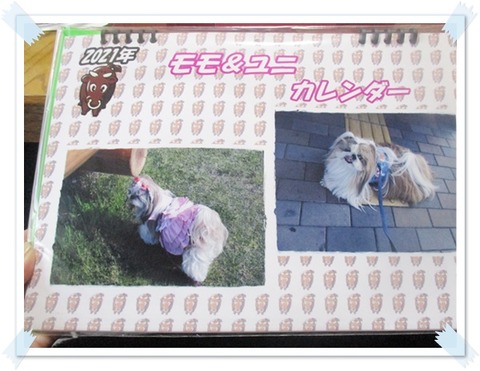 ２０２１年カレンダー完成!