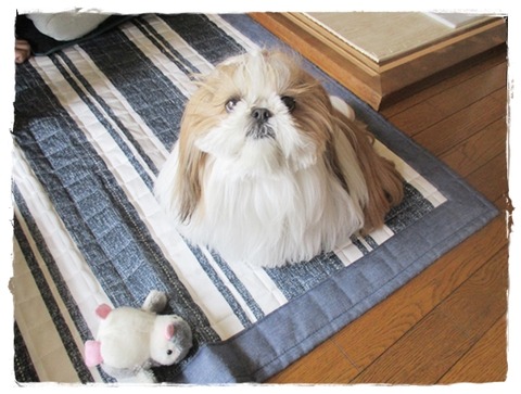 イライラしながら…