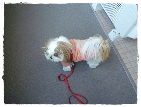 なんも～ないので(;^ω^)