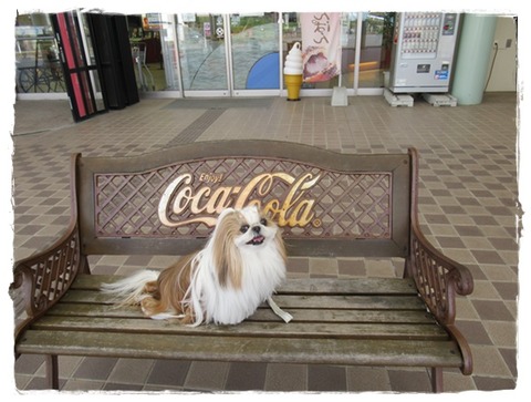 プチ旅行おしまい。