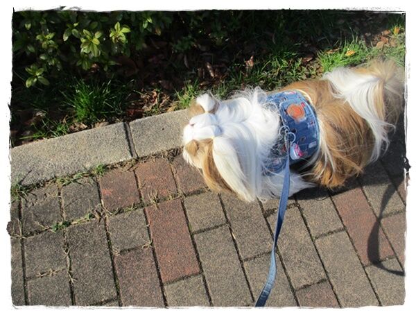 いちゃもん付けるのなら ﾟdﾟ いつまでも一緒だよ