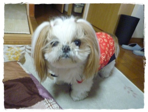 プチリフォーム。