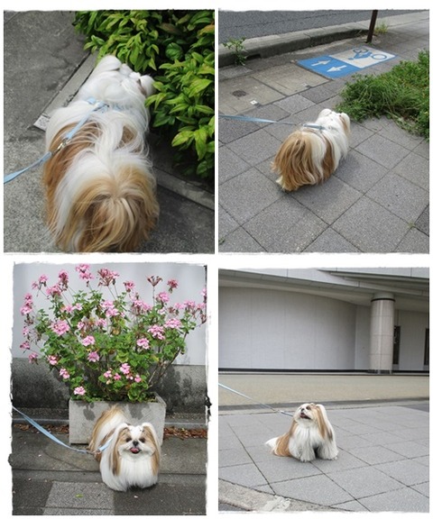 catsユニ５／２６