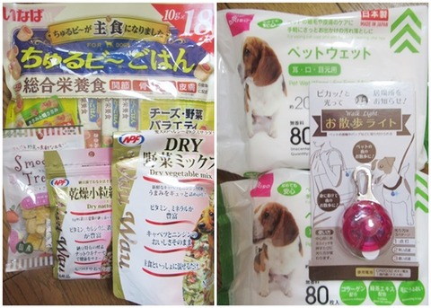 cats誕生日プレゼント１