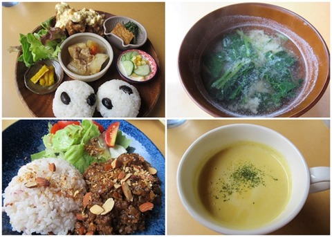 catsオッキニランチ