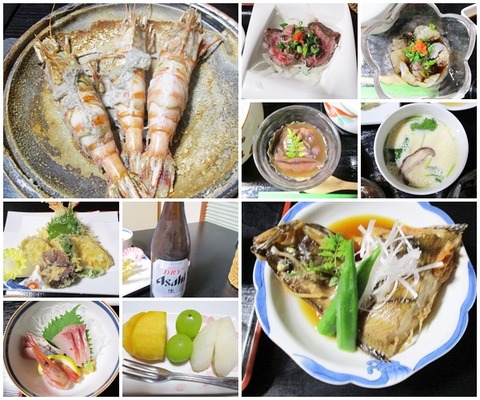 catsカワナツ夕食