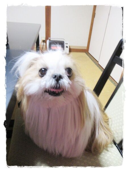 旅行２日目(空の駅)