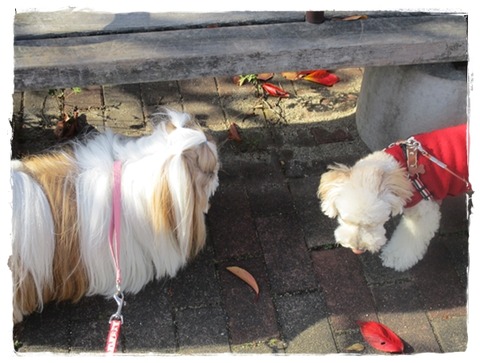 一寸、落ち着いてたかなっ?