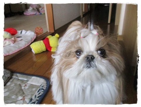 罰が当たった。