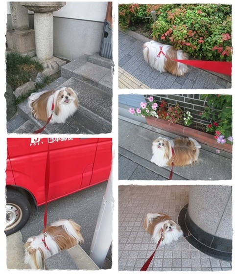 catsユニ９／２３