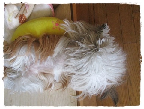 食べようか?の一言でシャキーン!