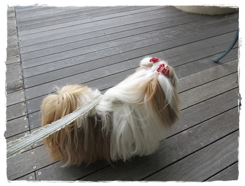 淡路島「七福神」巡り⑶