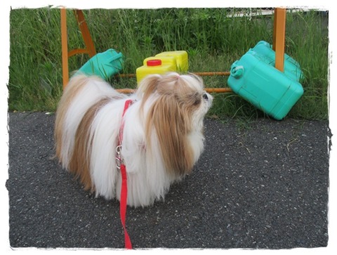 今日は平和でちた(*^^*)