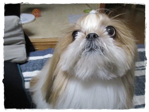 またも～手抜き。