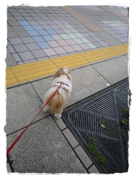 P1030815ユニ