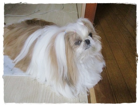 今日はダメなのかな?