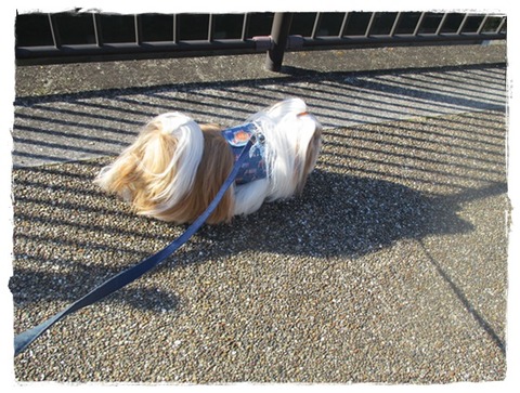 無駄に立ち話をしてるんじゃないんだ。