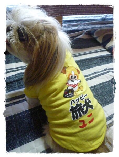 P1010970ユニ