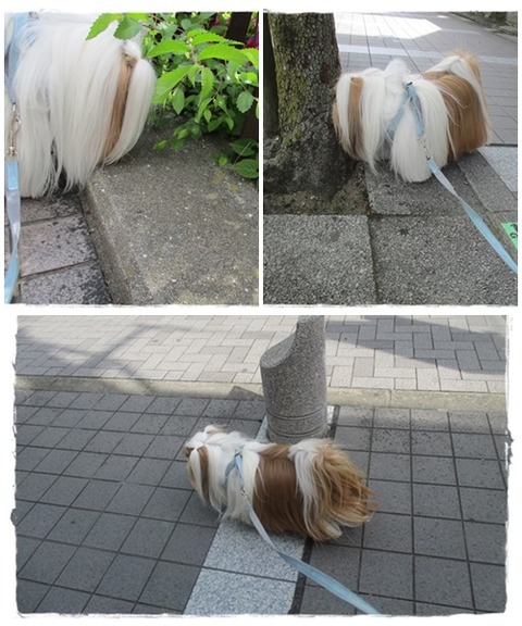 cats４／２２ユニ