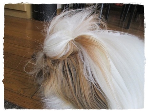 反省してましゅよ。