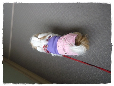 久し振りにまとまった雨。