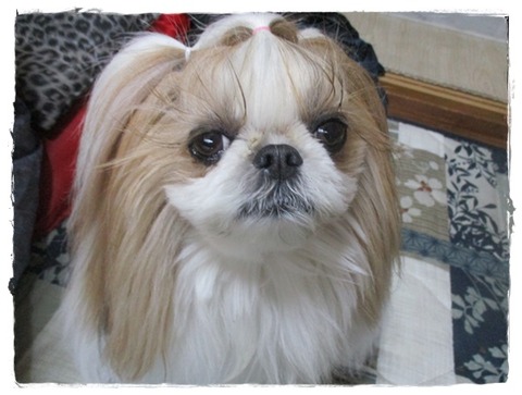 父の日は…お肉♪