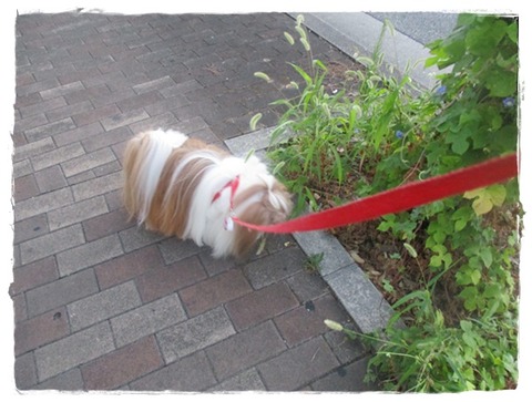 こんな時に限って💦