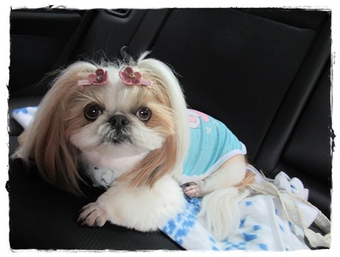 滋賀県＆福井県の旅。