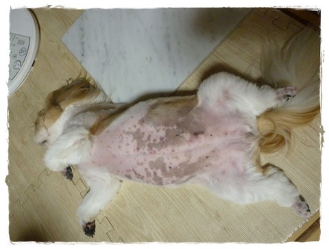 無礼者め(# ﾟДﾟ)