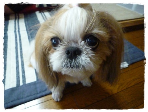 ウマウマの後で…😨