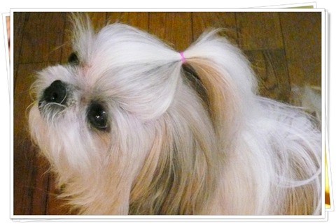 19歳の誕生日。