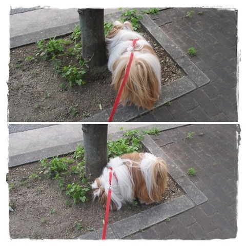 やっぱアタチって…