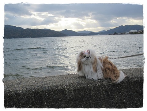 旅行２日目、、、お終い。