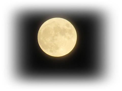 IMG_5181
