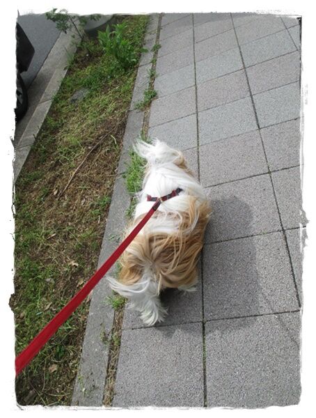 景品を頂きに♪