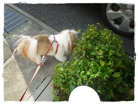 可愛い子ちゃんと遭遇♪