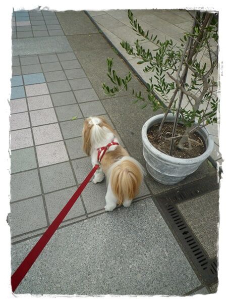 台風の影響?