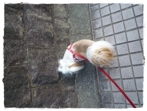 同じなんでしゅね。