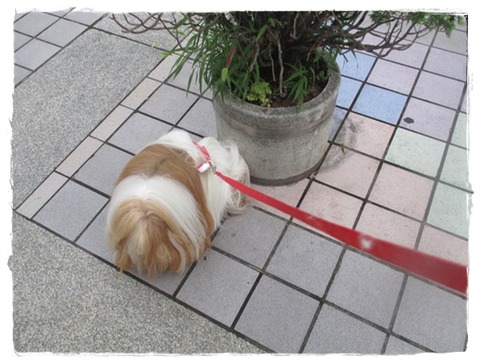 これからは注意しよっと(;^ω^)