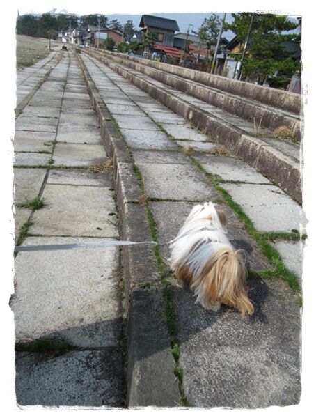 プチ旅行パート５。