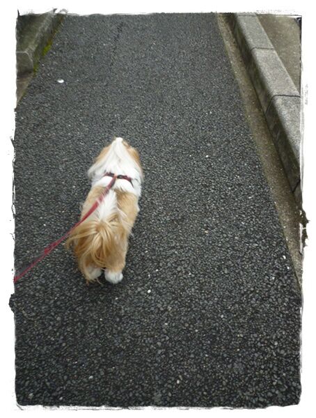 チックンして来たでしゅ～