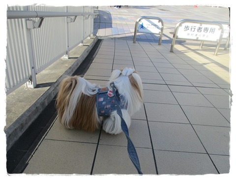 忘れた振りをしてたけど💦