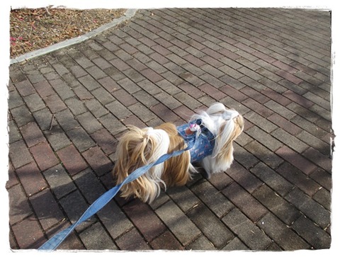 明るくなった気が…