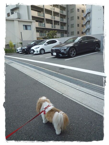 P1050127ユニ