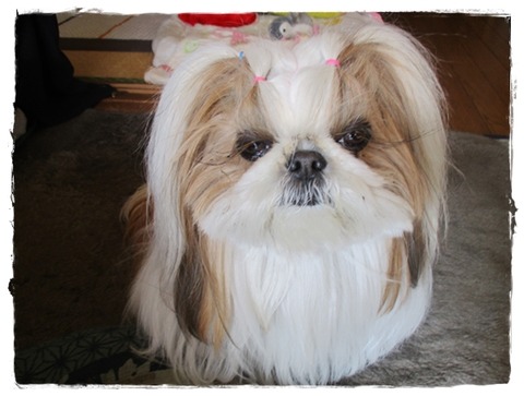 プ～ン～と、して来たので。